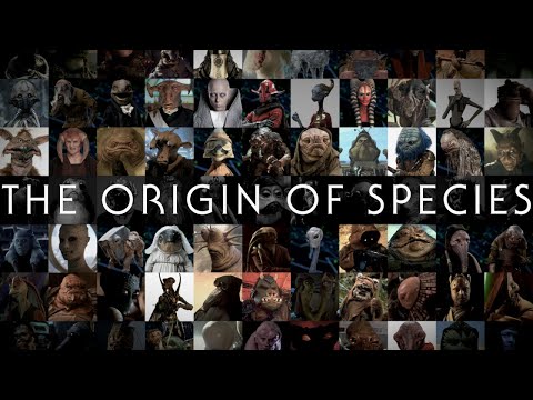 The Origin of Species: How to Design a Star Wars Alien