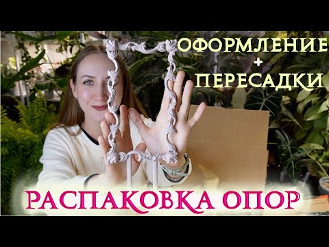 Unpacking supports (and more), arranging plants