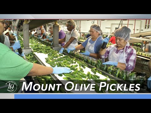 A Look Into The History Of Mount Olive Pickles | Carolina Impact