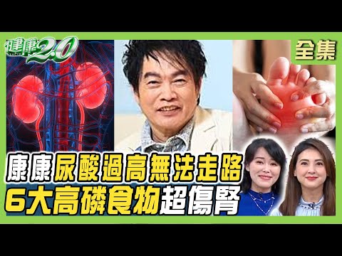 康康尿酸過高痛到無法走路！高尿酸恐引三高共病！痛風發作增心梗.中風風險！6大高磷食物傷腎 健康2.0 20250302【完整版】陳欣湄 韋汝 洪永祥 王健宇 黃淑惠 雷議宗@tvbshealth20