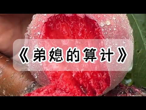 弟弟的女朋友开口要千万彩礼和的别墅，我问她家给多少嫁妆。她对我破口大骂：我爸妈养大我不容易，你们程家又不差钱，干嘛这么斤斤计较？#小说 #故事