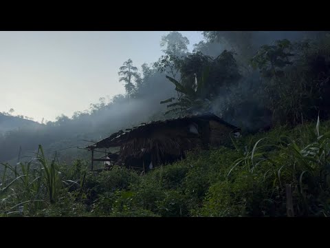 Sleeping in a hut in the valley, enjoying a delicious spicy wild boar stir-fry... Late at night, ...