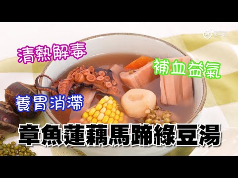 清熱去濕章魚蓮藕馬蹄綠豆湯｜健脾開胃｜補血益氣｜解毒消滯