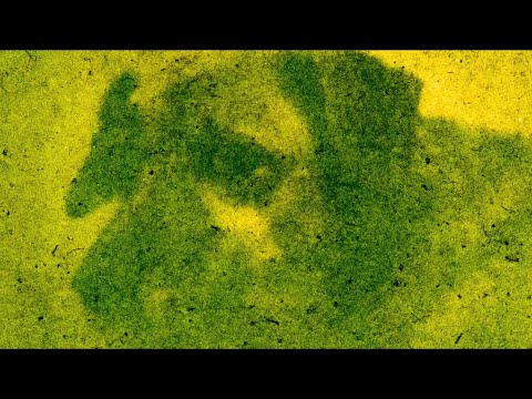 Green Hacks: How to make Anthotypes - Edd Carr, Northern Sustainable Darkroom