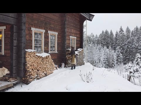 Winter In the Norwegian Woods, Homestead Diary | The sheep gets a scare, offgrid waffles ++