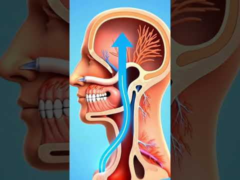 What Happens If You Hold A Sneeze? 🤧