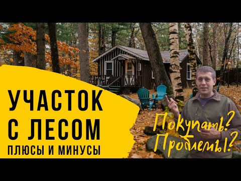 Участок в лесу. Минусы лесных участков для ИЖС