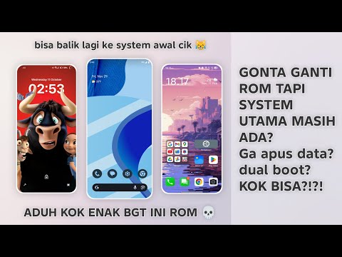 SWITCH ROMS AS YOU WISH WITHOUT DELETING YOUR MAIN SYSTEM?! | Evolution X Review!