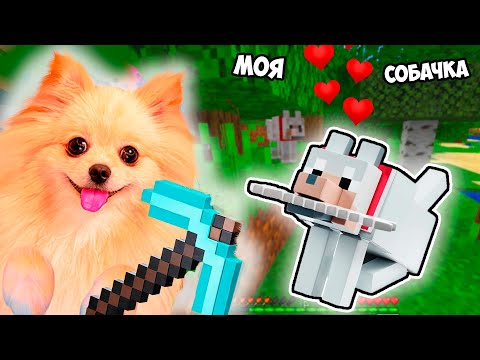 I TAMED A DOG IN MINECRAFT! THE SADDEST MINECRAFT EDITION EVER