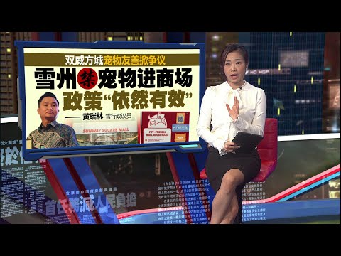 马来民众不满带宠物逛街 梳邦再也市长:没批宠物友善商场 | 新闻报报看 18/12/2025