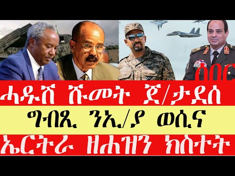 ሰበር breaking News🔥..ፕ/ታደሰ ተወሳኺ ሹመት //ግብጺ ንኢ/ያ ወሲና//ዲቪ ኣመሪካ ተኸልኪሉ