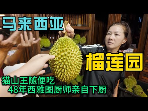 马来西亚猫山王榴莲园随便吃,48年西雅图大厨给我做晚餐,羡慕榴莲园主的退休生活可望不可及