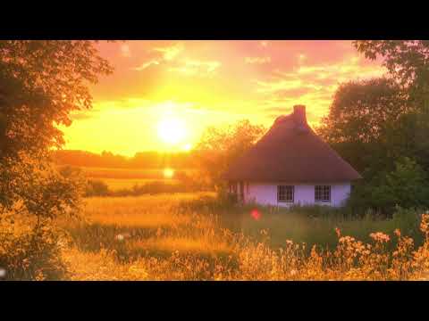 힘들고 지친 마음에 건네는 조용한 위로 | Healing Piano for Evening Pause & Relaxation