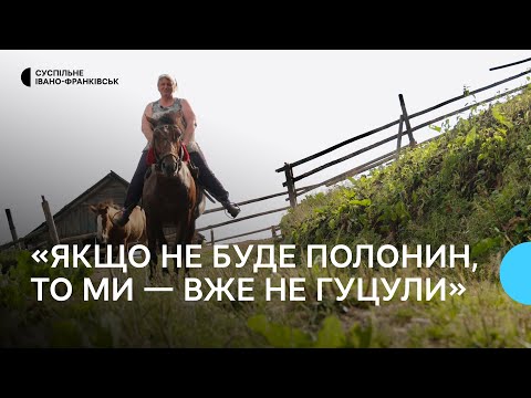 Доба на полонині у Карпатах: як гуцули колотять масло, варять вурду на ватрі й доглядають 31 корову