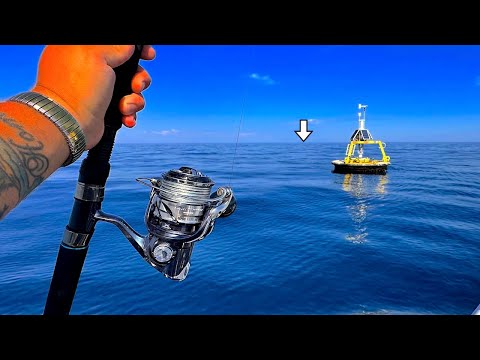 Fishing a LIVE! HARDTAIL Under This WEATHER BUOY When THIS Happened! [Catch, Clean, Cook]