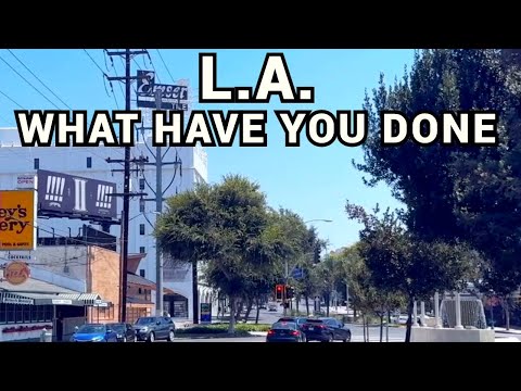 Driving Tour #5  the WILDEST Streets in Los Angeles