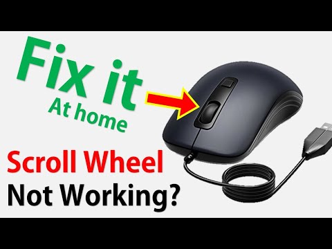 How to Repair Mouse Scroll Wheel at Home | Mouse Scroll Wheel Not Working?