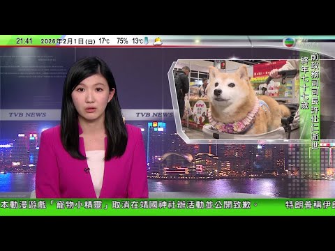 無綫TVB1000一小時新聞｜中國海警推出宣傳片 釣魚島執法畫面首曝光｜紹伊古抵達北京會晤王毅 重申俄方在台灣問題上繼續堅定支持中方立場｜香港寵物節收鑼日不少減價促銷　商戶推農曆新年限定商品吸客｜