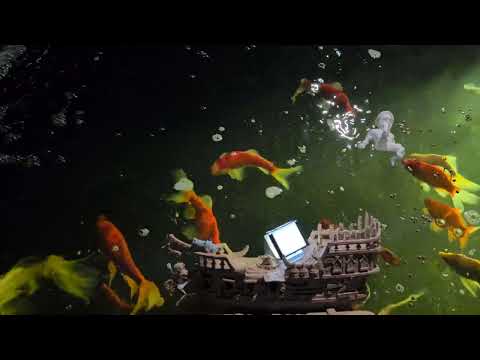 Jessica sent a second pirate ship for my fish pond!!!