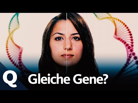 Zwillinge: 7 Dinge, die wir von ihnen lernen können (Ganze Folge) | Quarks