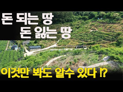 (꿀팁) 돈되는땅 돈잃는땅 이것만 알면 토지투자 성공할수 있다