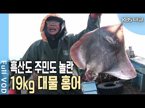 어종탐지기 없이 오직 '감'으로 잡는다? 베테랑 선장들의 홍어잡이 열전 (KBS 20090126 방송)