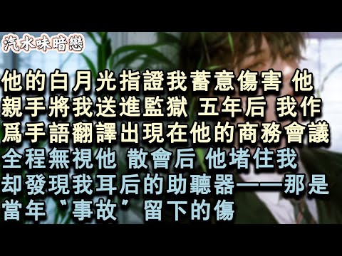 【青春限定】他的白月光指證我蓄意傷害。他親手將我送進監獄。五年後，我作為手語翻譯出現在他的商務會議，全程無視他。散會後，他堵住我，卻發現我耳後的助聽器——那是當年“事故”留下的傷#小說 #言情 #故事