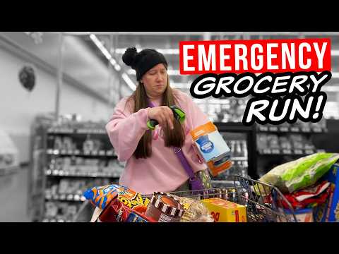 EMERGENCY WALMART GROCERY HAUL! We RAN OUT of EVERYTHING + $13 BLANKET DEAL!