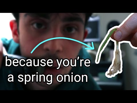 Your Music Isn't Improving, Because You’re a Spring Onion