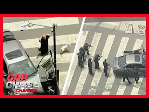 Alleged armed suspect with dog weaves in and out of traffic to escape police | Car Chase Channel