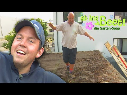 Über den Dächern: Detlef als Ballerina🕺| Ab ins Beet! | Ganze Folge | RTL Haus & Garten