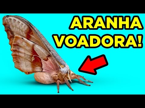 Descobertas De Criaturas Estranhas Que Confudiram Todo Mundo