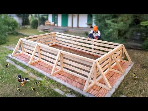 Self-sufficient in food for whole family with DIY 3in1 aquarium