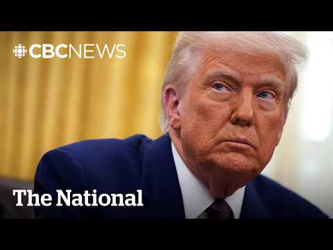 The dangerous cost of Trump’s war on universities