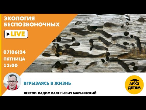 Занятие "Вгрызаясь в жизнь" рубрики "Неурочные беспозвоночные" с Вадимом Марьинским