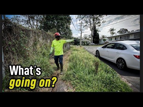 Neighbors DIDN’T KNOW footpath even EXISTED