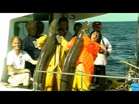 Guide to Giant Conger Fishing