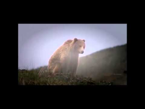 TIES Workshop Part 3