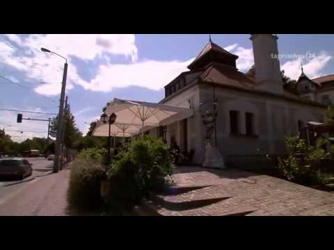 Ich muss zum Idiotentest - MPU - Teil 2