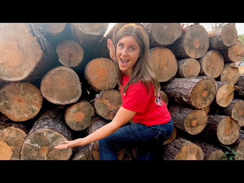 People are THROWING AWAY LOGS?!?!