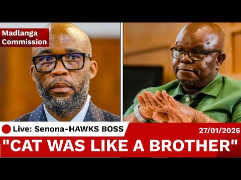 General Senona's Dangerous Relationship with Cat Matlala. POSSIBLY RELATED? "I LIKED HIM"