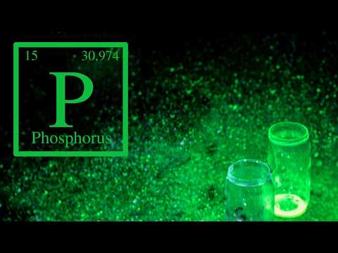 Phosphorus and why you should not dump it in the sea!!🧪🔬