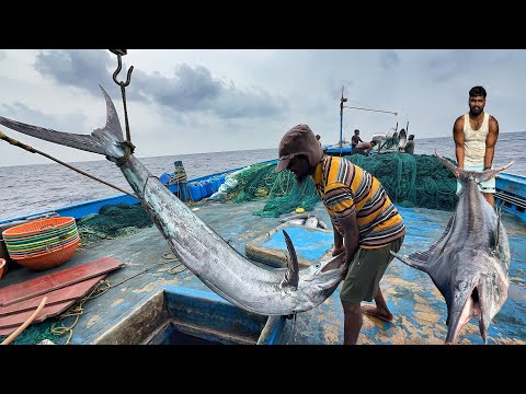 Great! The Second Day We Stayed In The Deep Sea And Caught A Lot Of Big Fishes | Day-02 | S07-EP02