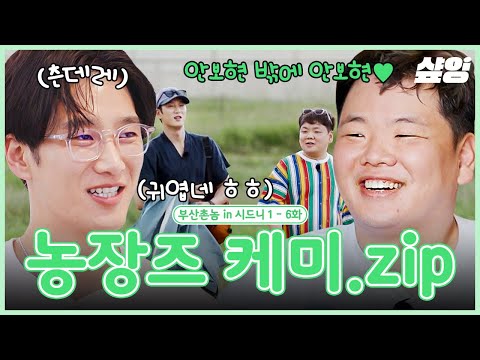 [#부산촌놈in시드니] (90분) 이런 알바일 줄 몰랐어요😇 극한 노동에 감성 한 스푼 얹은 안보현X곽준빈 농장즈 모음🔥