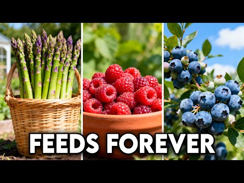 These Top 10 Crops Grow Like Fruit TREES! Plant Once, Eat Forever!