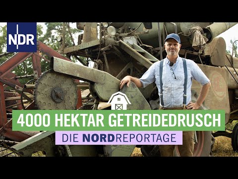 Hitzeschlacht bei Bauer Kruse - Werner & Robby retten die Ernte | Die Nordreportage | NDR
