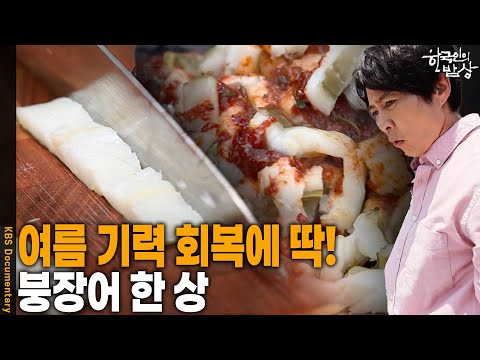 여름 볕에 뜨겁게 일한 사람들과 나누는 음식! 푸짐한 한 상에 과식할지 몰라요~ | KBS 20250710 방송
