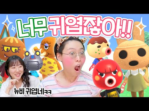 모동숲 뉴비의 무인도 생활 시작!!! 위시 주민..데려올 수 있을까?