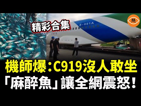 【精彩合集】機師爆：C919沒人敢坐；「麻醉魚」讓全網震怒！
