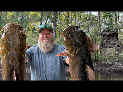 3 Days at an Off-Grid Swamp Cabin | Running Limb Lines for Catfish!